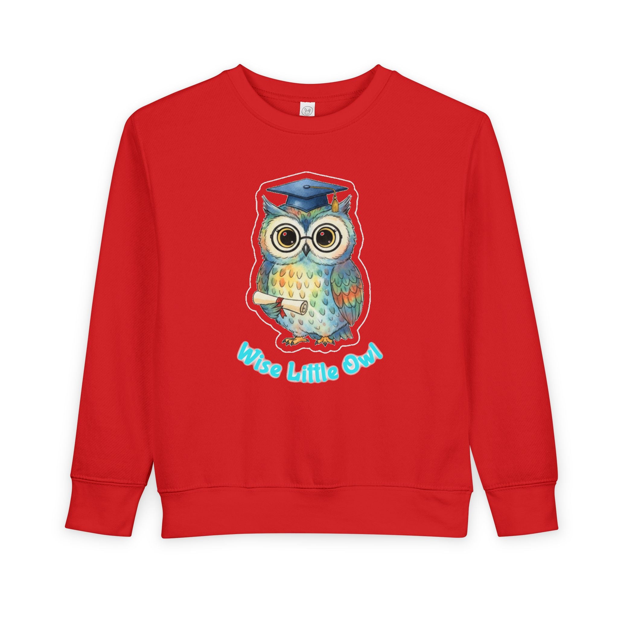 Graduate "Wise Little Owl" Kids Sweatshirt