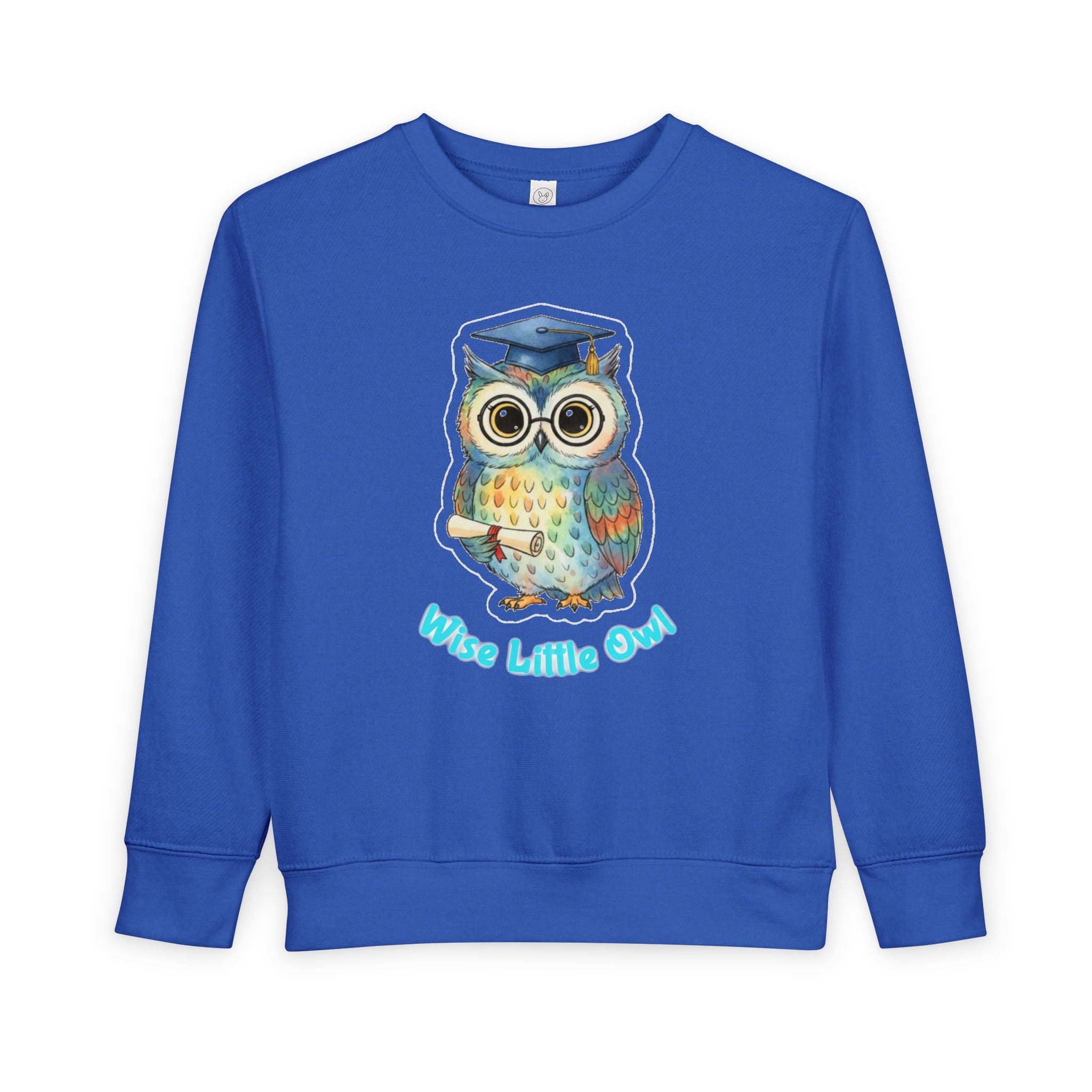 Graduate "Wise Little Owl" Kids Sweatshirt